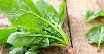 Loại rau rất ít người biết này là ‘nhân sâm nhà nghèo’, bán đầy ngoài chợ, giàu dinh dưỡng và tốt cho sức khỏe