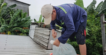 Người dân Huế dùng ‘cách lạ’ chằng chống nhà cửa trước bão gió ra sao?