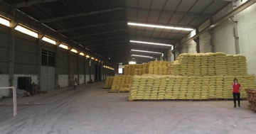 Triệt phá đường dây sản xuất phân bón giả quy mô hơn 17 tỷ, chặn đứng loạt hóa chất đã hết hạn sắp tuồn ra thị trường