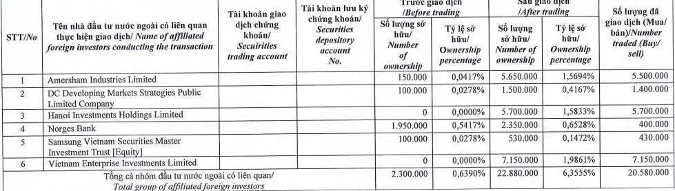 Dự báo TTCK Việt tăng bằng lần, quỹ ngoại quy mô 6 tỷ USD gom hơn 20 triệu cổ phiếu một công ty BĐS - ảnh 1
