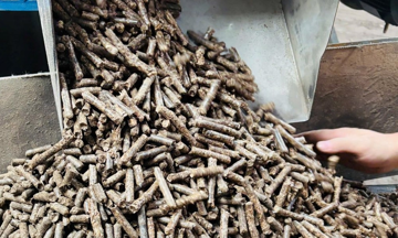 Một doanh nghiệp đầu tư lớn, khánh thành và động thổ ba nhà máy viên nén gỗ xuất khẩu tại Bắc Ninh