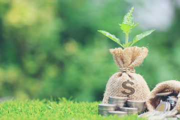 Một doanh nghiệp sắp trả cổ tức bằng tiền tỷ lệ 150%