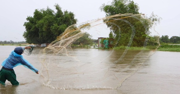 Người dân Đà Nẵng đội mưa đi săn 'lộc trời' sau bão Bualoi, đặc sản vừa kéo lên đã bán sạch trong 15 phút