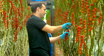 Quốc gia có diện tích bằng 1/8 Việt Nam vươn lên trở thành nước xuất khẩu nông sản lớn thứ 2 thế giới, chỉ xếp sau Mỹ