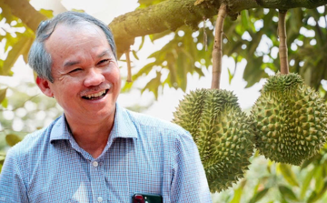 Sầu riêng Việt trúng lớn khi xuất khẩu, 70.000 gốc sầu của HAGL vào vụ thu hoạch