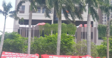 Tranh chấp chung cư không thể giải quyết bằng các quy định 'chắp vá'