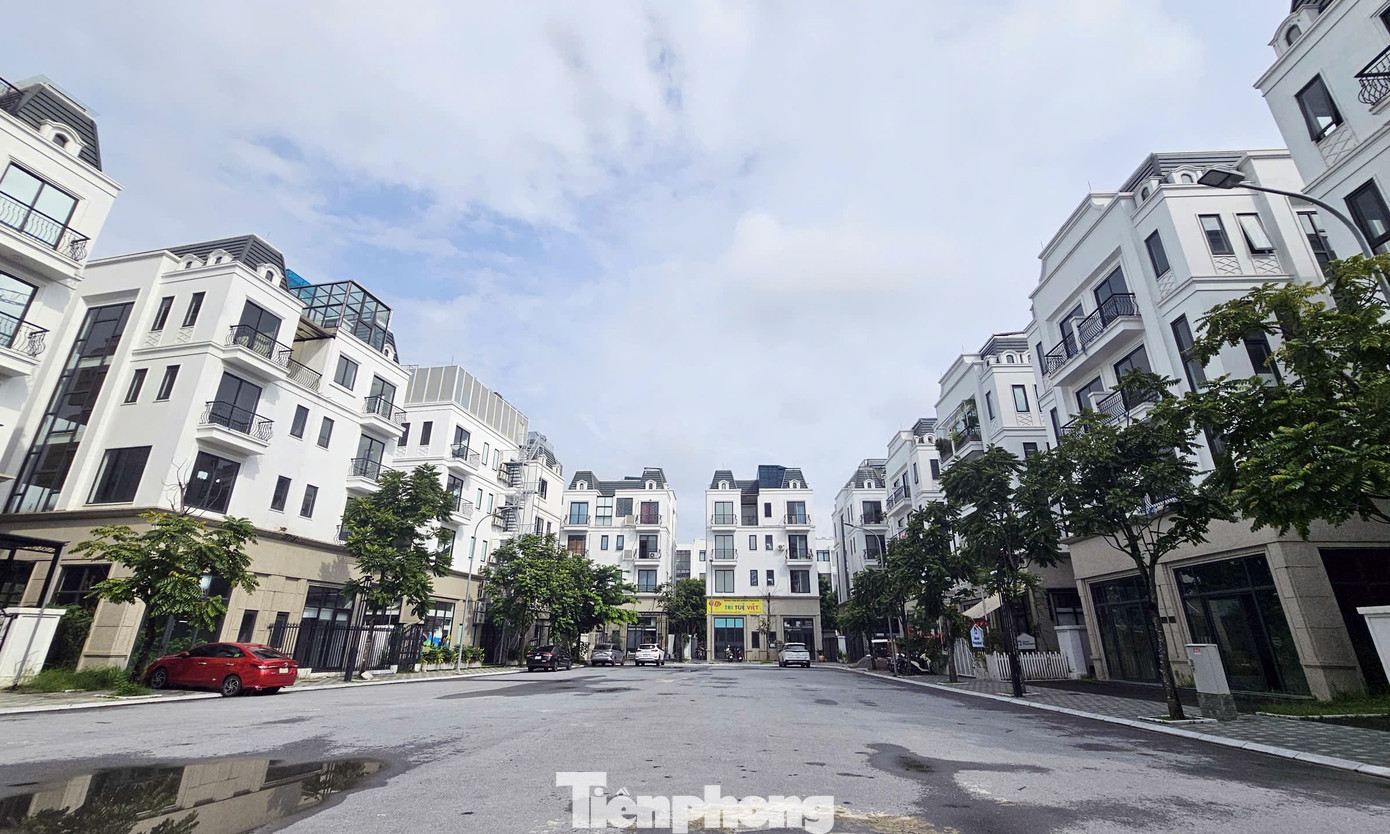 Dự án The Diamond Point có diện tích khoảng 1,6ha với khoảng 128 lô liền kề, biệt thự với diện tích từ hơn 100m2-230m2, được bàn giao cho khách hàng từ năm 2022. Theo khảo sát, mỗi căn liền kề, biệt thự tại đây đang được rao bán có giá lên đến cả triệu USD. tp-du-an-the-diamond-point-phuc-dong-bo-hoang7.jpg