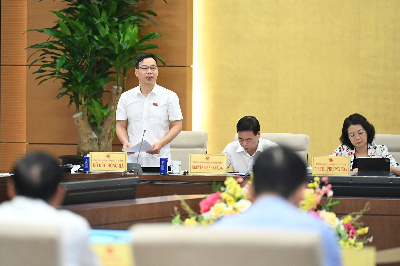 Phó Chủ nhiệm Ủy ban Pháp luật và Tư pháp Đỗ Đức Hồng Hà. 39tp5.jpg