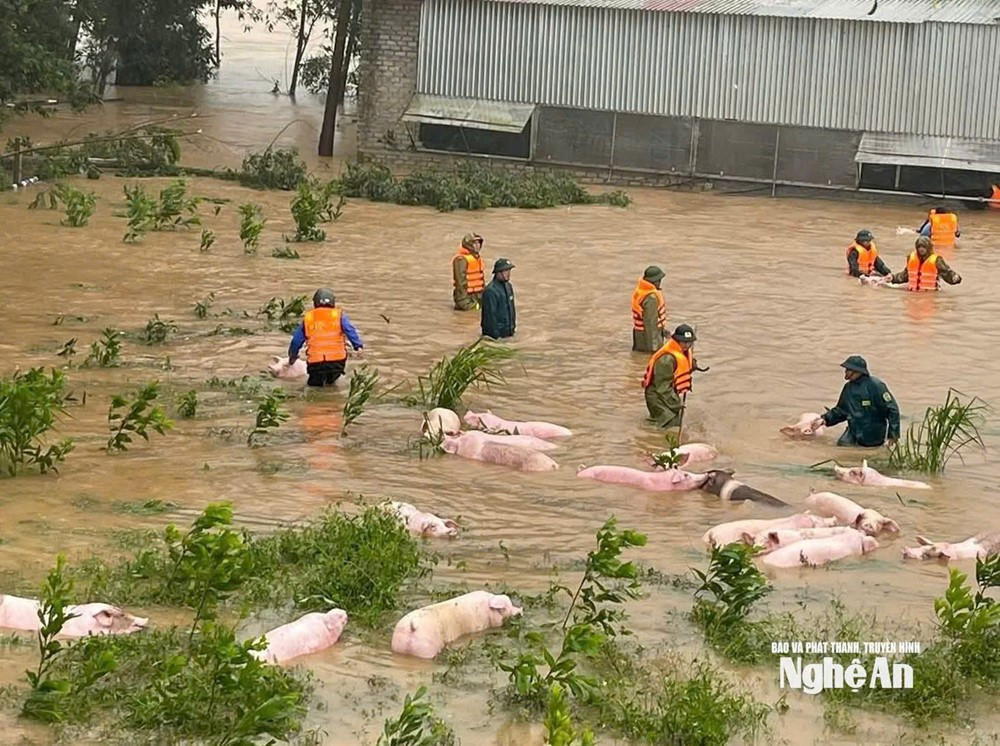 Bão Bualoi khiến 19 người chết, 13 người mất tích - ảnh 4
