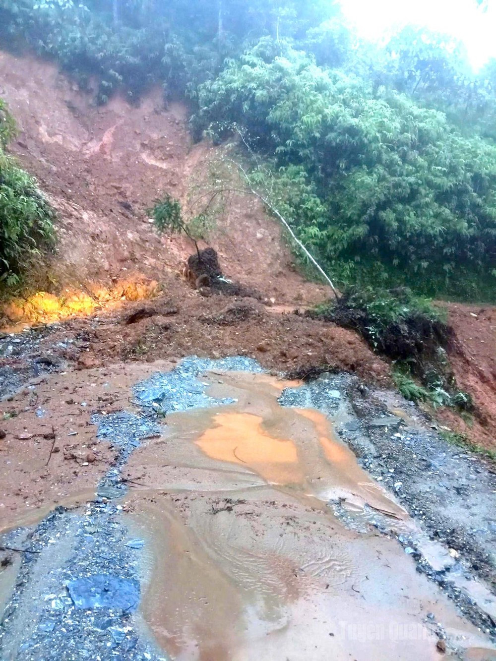 Cập nhật mới nhất về thiệt hại sau bão số 10 - Bualoi tại các tỉnh, thành - ảnh 1