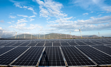 Điện Mặt Trời Trung Nam lãi cao nhất 4 năm, sạch nợ vay ngân hàng