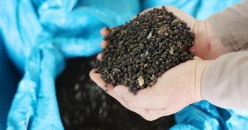 Thị trường hồ tiêu: Xuất khẩu Việt Nam đạt giá trị kỷ lục dù lượng thấp nhất 8 năm