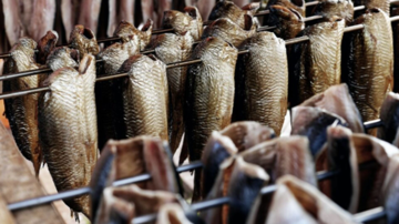 Việt Nam thu hơn 1.300 tỷ đồng nhờ 'mỏ vàng dưới nước': Xuất khẩu tăng cao nhất 5 năm, là mặt hàng được ưa chuộng nhất tại Mỹ