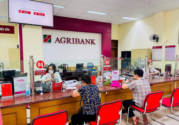 Bà Nguyễn Tuyết Dương rời Hội đồng thành viên Agribank