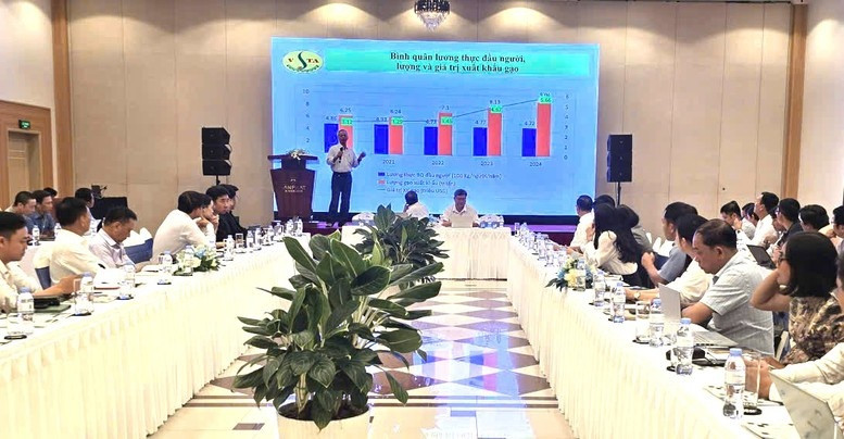 Doanh nghiệp Việt đưa AI vào phân tích và giám định gạo