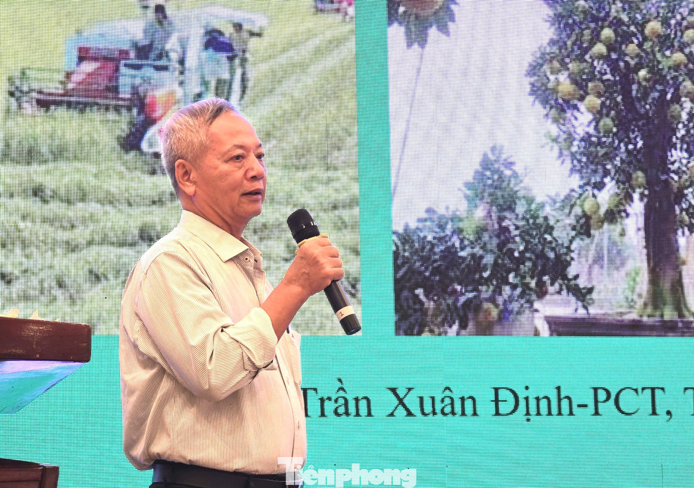 tp-dinh.jpg