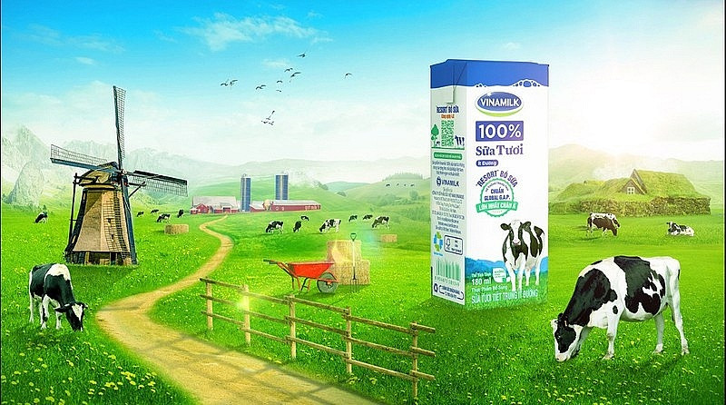 Tỷ giá tăng cao không ảnh hưởng chi phí, công ty sữa lớn nhất Việt Nam được dự báo lãi 9.500 tỷ