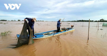 Nguy cơ khủng hoảng nguồn cá sông Mekong