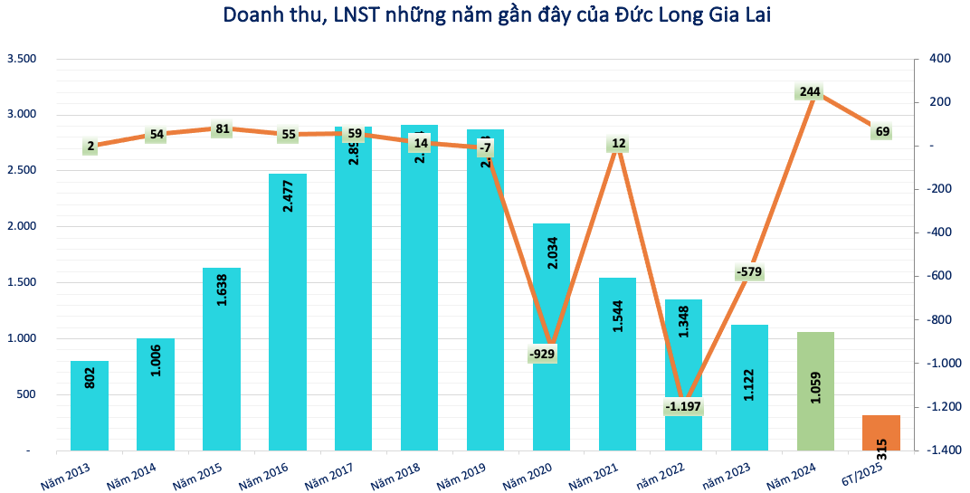 Lỗ lũy kế 2.400 tỷ, kiểm toán nghi ngờ khả năng hoạt động liên tục của Đức Long Gia Lai (<a style='text-decoration: none;' href='/DLG'>DLG</a>)