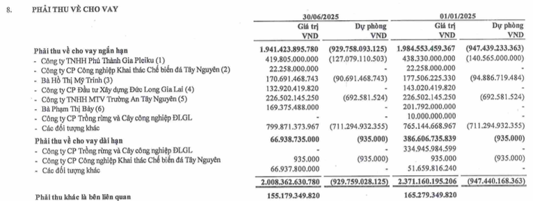 Lỗ lũy kế 2.400 tỷ, kiểm toán nghi ngờ khả năng hoạt động liên tục của Đức Long Gia Lai (<a style='text-decoration: none;' href='/DLG'>DLG</a>)