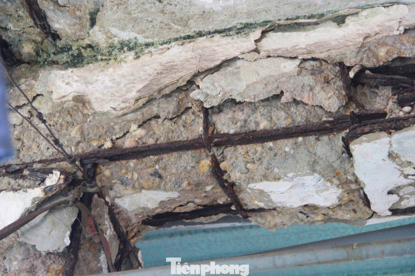 tp-12-1654.jpg