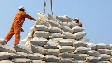Phát hiện nhiều vi phạm của doanh nghiệp xuất khẩu gạo