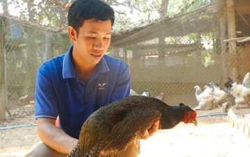 Anh nông dân Gia Lai bỏ phố về quê nuôi loài chim quý, bỏ túi 1 tỷ đồng/năm, được Chủ tịch nước tặng Huân chương Lao động hạng Ba
