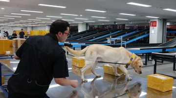 Việc làm ‘part-time lương cao’: Bẫy chết người đẩy nhiều thanh niên Hàn Quốc vào tù tội