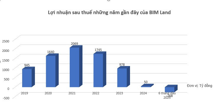 BIM Land lỗ nhẹ nhưng doanh thu khởi sắc trong nửa đầu năm 2025- Ảnh 1.