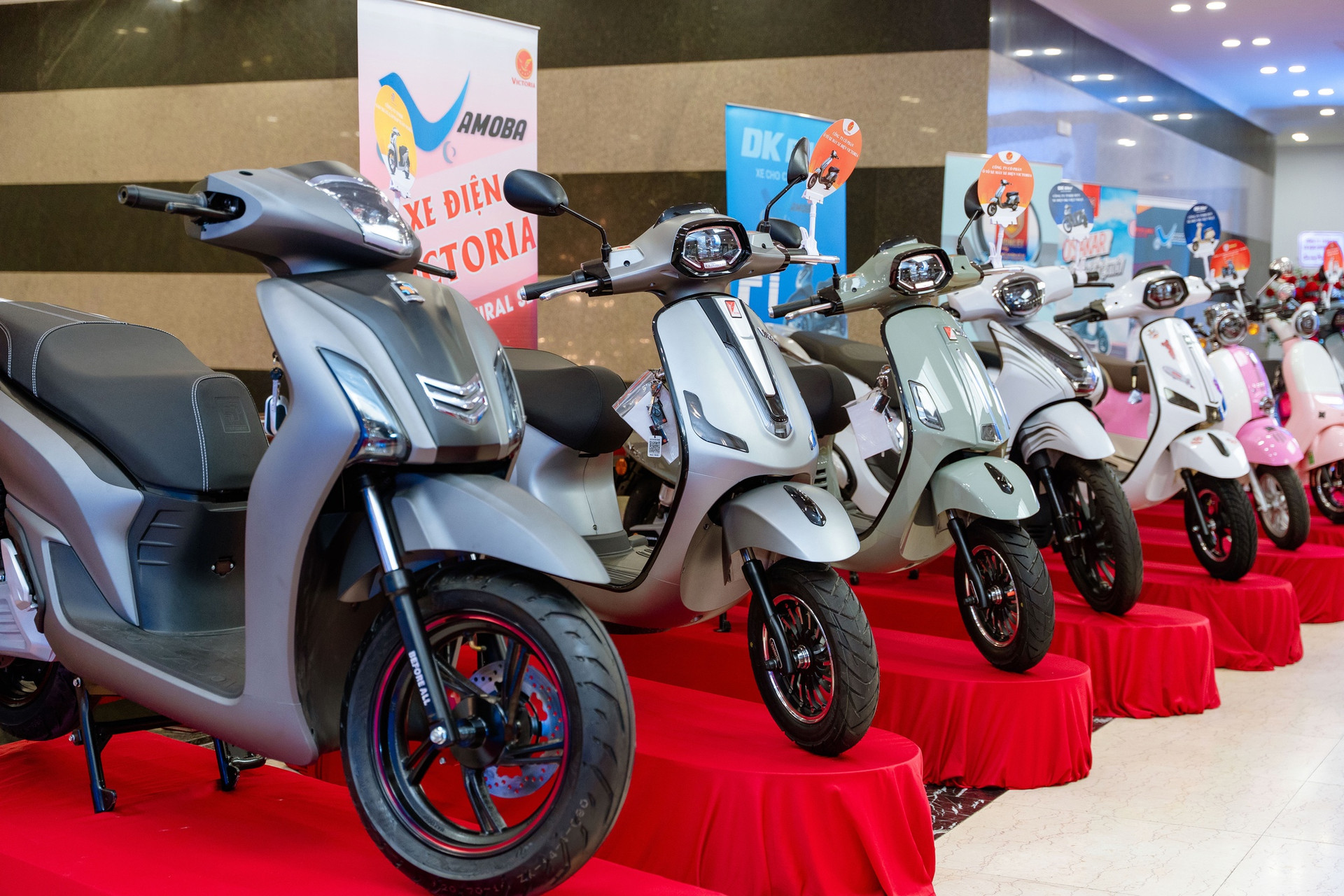 Hiệp hội Ô tô, Xe máy, Xe đạp Việt Nam sẽ sản xuất 100% xe điện vào năm 2035- Ảnh 2.