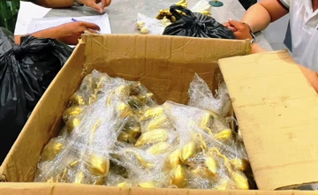 Bà T. đồng ý đổi nhẫn vàng lấy ‘cổ vật’, ngay sau đó mất trắng 5.000 USD: Công an lập tức vào cuộc, bắt gọn nhóm lừa đảo liên tỉnh