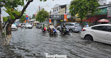 Biến đổi khí hậu gây thiệt hại hàng nghìn tỷ đồng cho người Cần Thơ