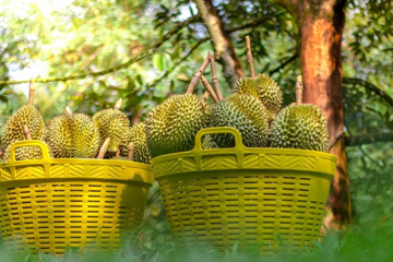 Bộ trưởng Nguyễn Hồng Diên: Việt Nam có thể lọt Top 15 quốc gia có kim ngạch thương mại lớn nhất thế giới