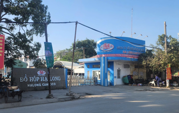 Bắt khẩn cấp Tổng Giám đốc Công ty Đồ hộp Hạ Long