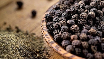 150.000 đồng/kg 'vàng đen' chưa đủ hấp dẫn, nông dân găm hàng chờ biến động trước Tết