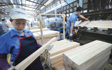 Ngành Gỗ vượt khó, tạo giá trị kỷ lục