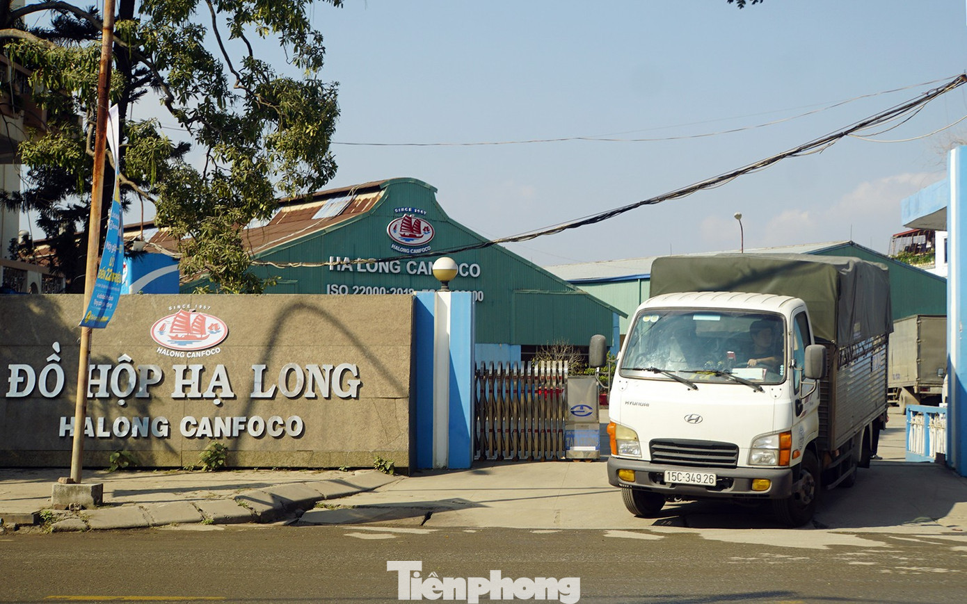 tp-nha-may-ha-long-8.jpg