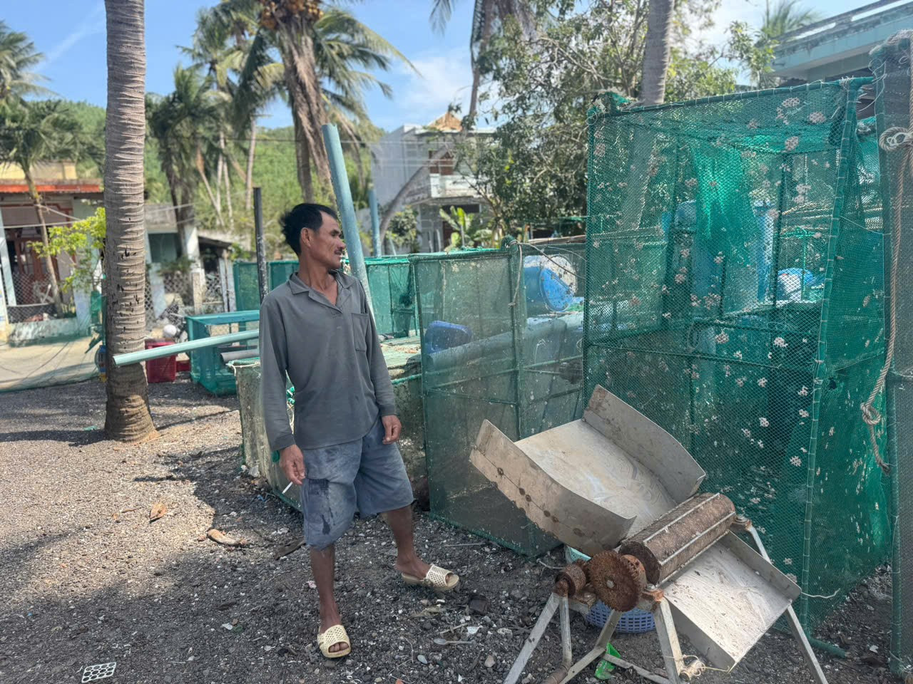 Những lồng nuôi tôm bị sóng đánh méo mó, rách toạc lưới được ngư dân gom về gia cố, chuẩn bị vụ nuôi mới. long-tom.jpg