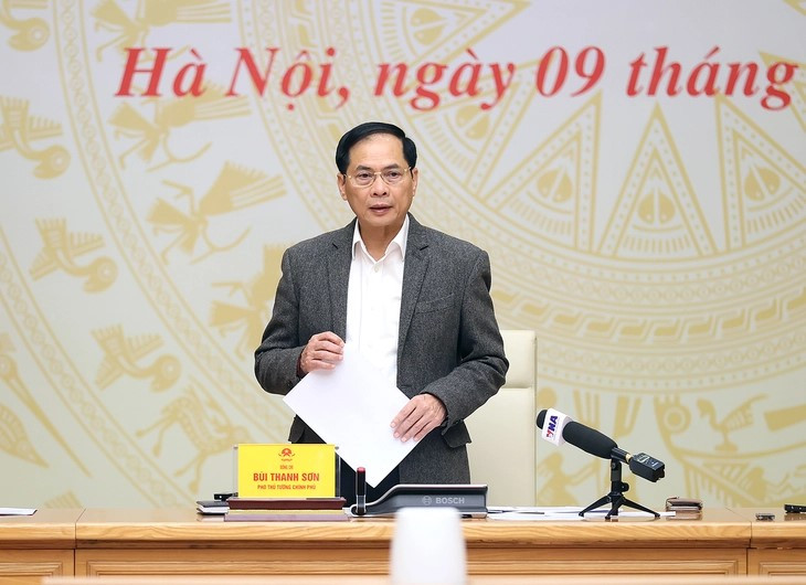Phó Thủ tướng Bùi Thanh Sơn yêu cầu tăng mức phạt với buôn lậu, hàng giả - ảnh 1