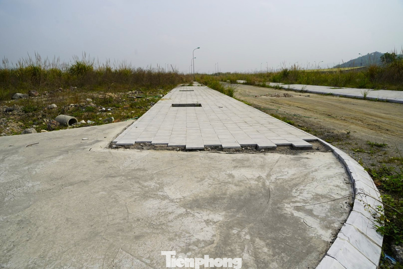 tp-anh8104.jpg