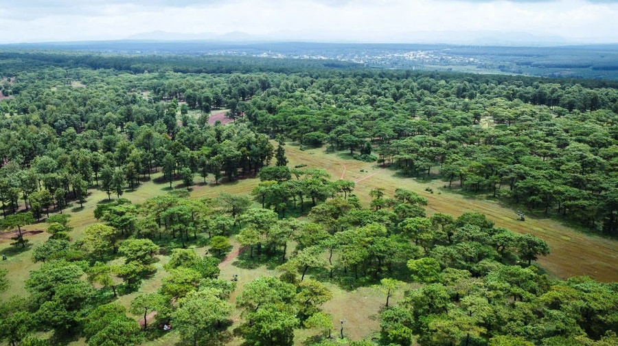 Dự án Sân golf Đak Đoa được kỳ vọng góp phần hoàn thiện Khu phức hợp Đak Đoa, tạo điểm nhấn về du lịch - dịch vụ, thúc đẩy phát triển kinh tế - xã hội địa phương (Ảnh Báo Gia Lai)