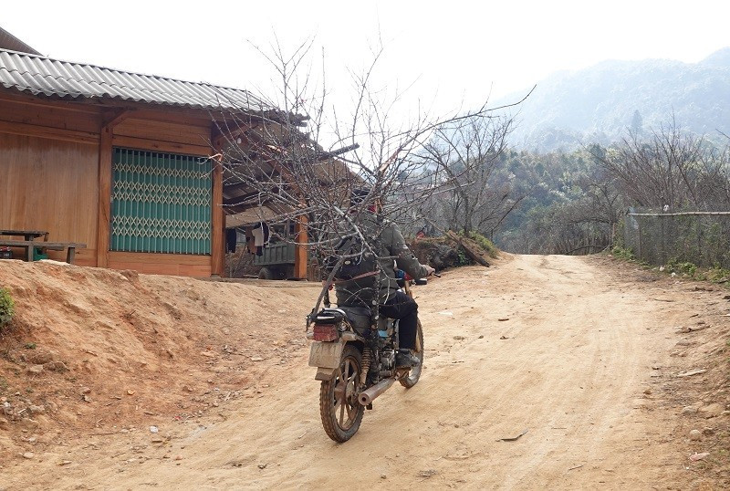 do-duong-kho-khan-nen-chi-van-chuyen-canh-dao-bang-xe-may-2.jpg