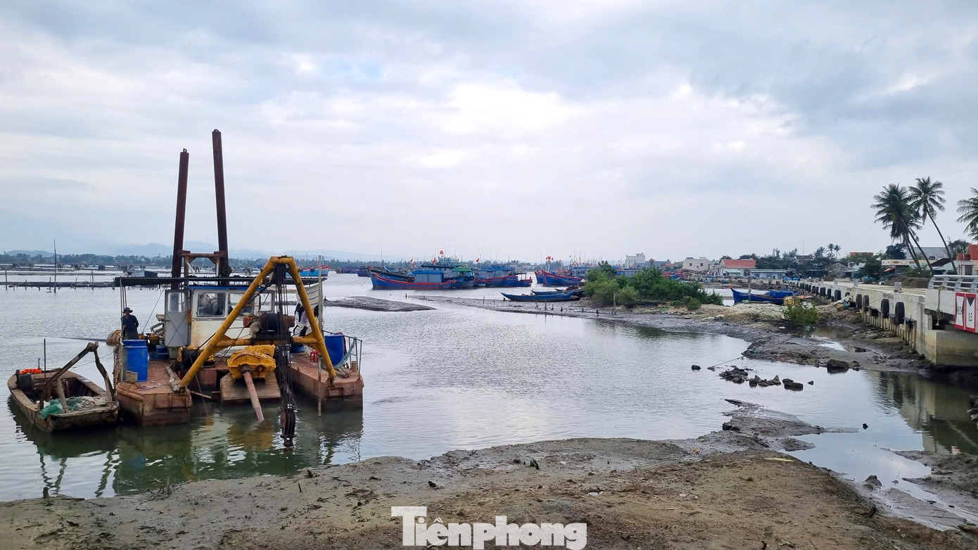 Dự án Khu neo đậu tránh trú bão cho tàu cá An Hòa kết hợp cảng cá Tam Quang tại xã Núi Thành, TP Đà Nẵng. tp-cang-ca-tam-hoa-14.jpg