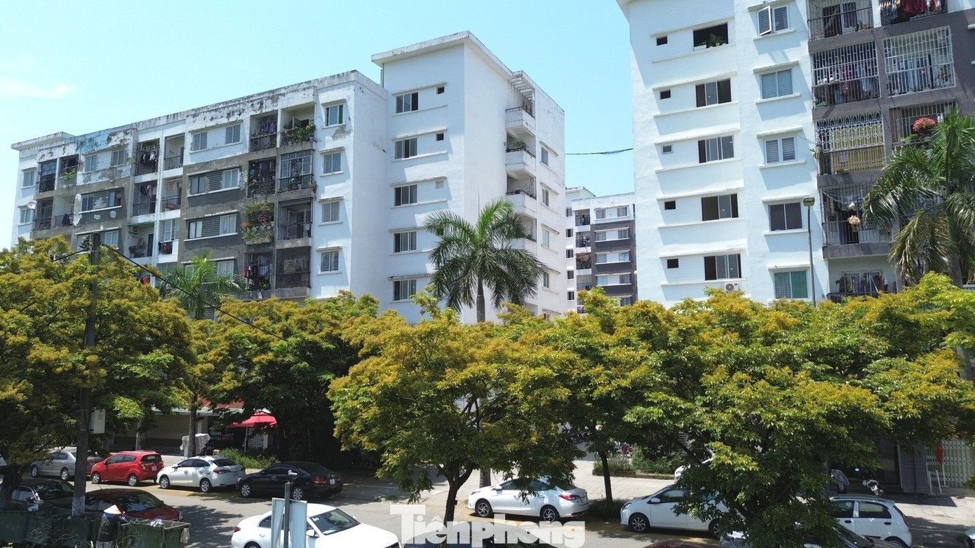Đến năm 2030, TP. Huế đặt mục tiêu xây dựng khoảng 12.000 căn hộ NƠXH. nha-o-xa-hoi-hue.jpg