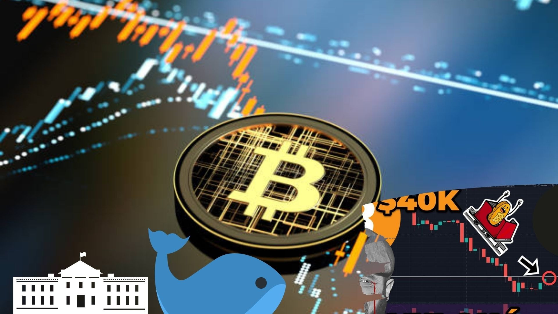 bitcoin-va-crypto-deu-do-ai-dang-ban-image-1091.jpg