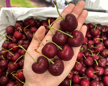 Cận Tết, Cherry bất ngờ rớt giá sâu: Hàng xa xỉ từng 2 triệu đồng/kg nay chỉ còn chưa tới 1 triệu