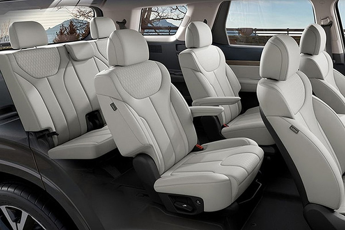 hyundai-palisade-high-roof-3.jpg