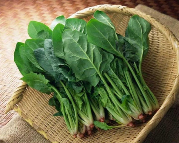 rau-cai-bo-xoi-loi-ich-suc-khoe.png