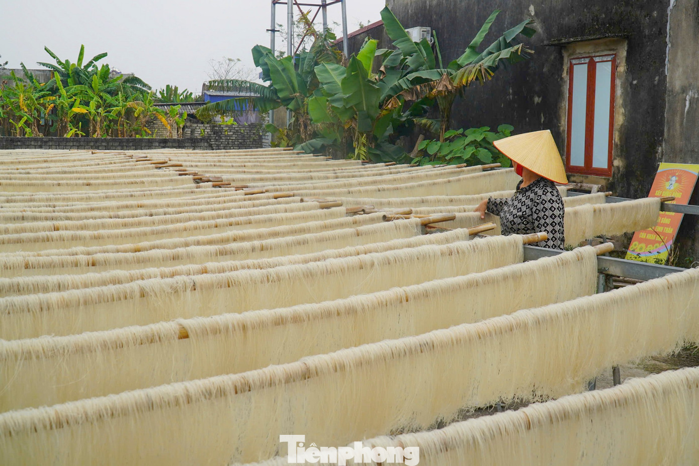 Những ngày này, các hộ dân làm miến gạo Thăng Long ở xã Thăng Bình tất bật ngày đêm làm miến để đủ cung ứng cho thị trường Tết Nguyên đán. tp-1.jpg