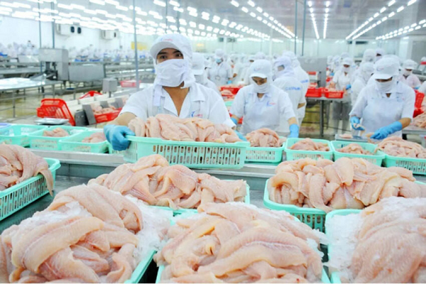 ca-tra-viet-nam-nam-2025.png